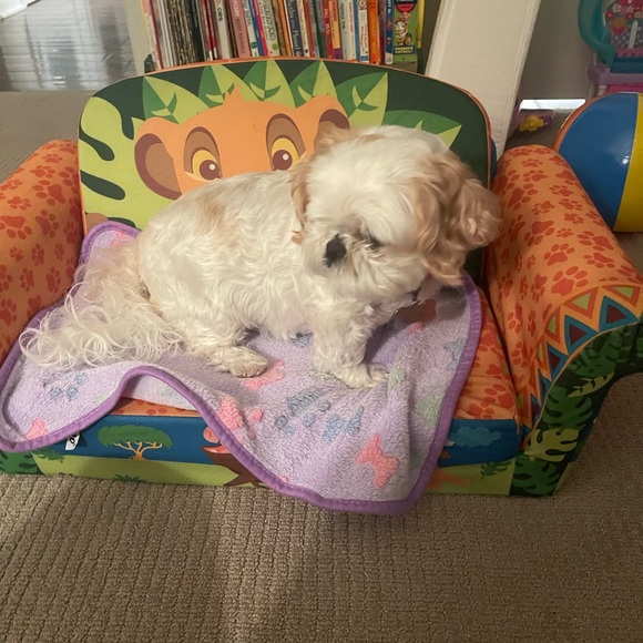 🐶🩷Gem my helper resting on the job 🩷🐶 - Picture 2 of 2